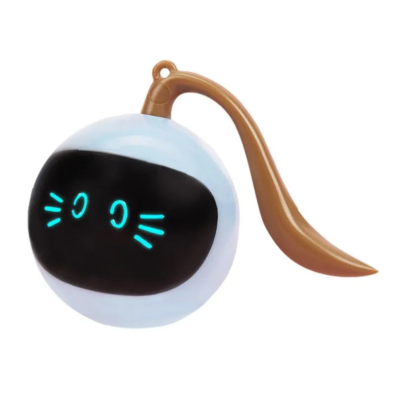 49874692571455|49874692604223