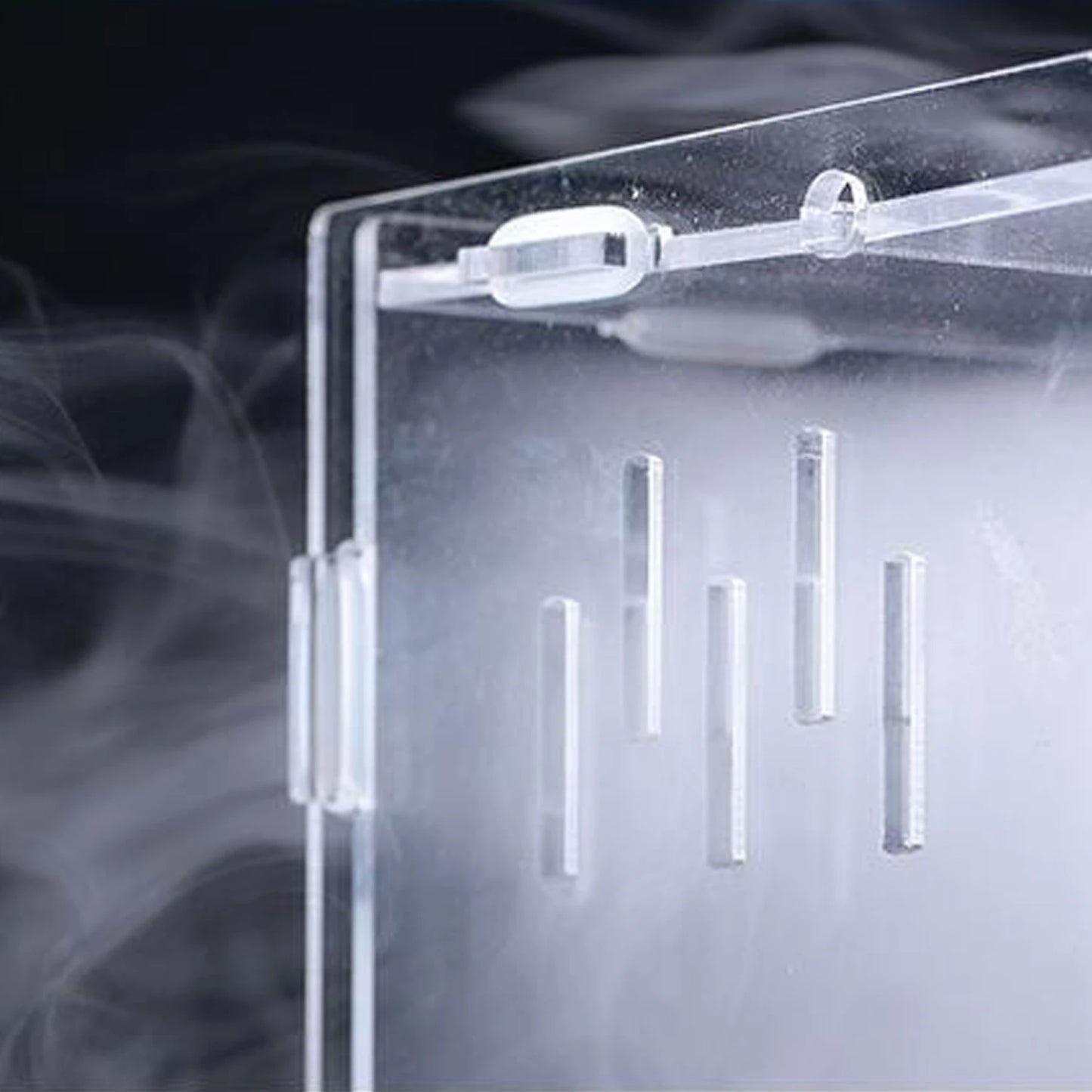 Acrylic Transparent Reptile Terrarium