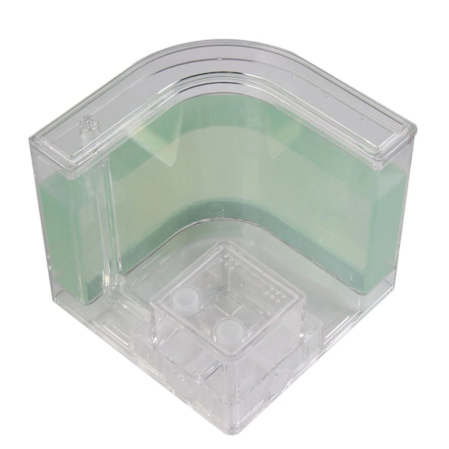 3D Ant Farm Maze Educational & Learning Kit