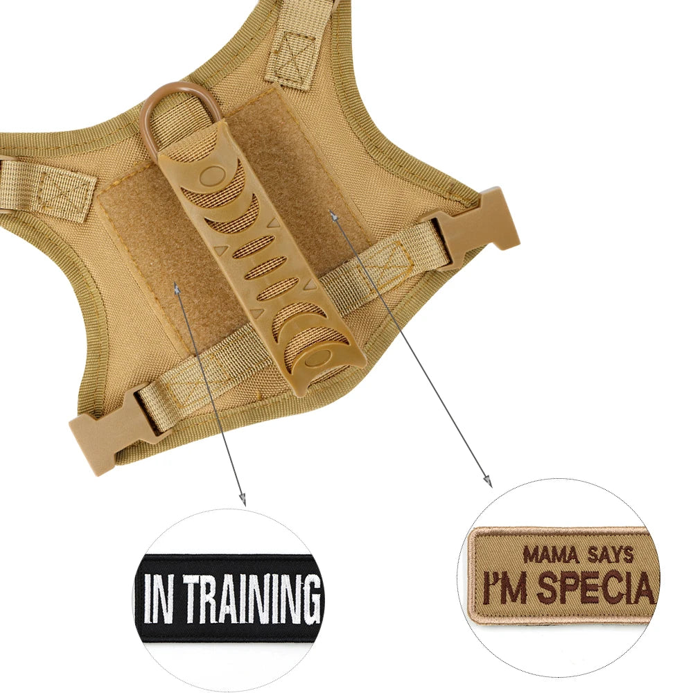 Tactical Harness Leash For Small Dogs