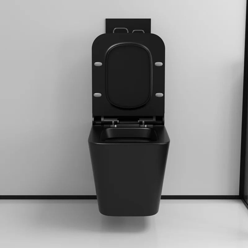 Wall mounted toilet concealed water tank