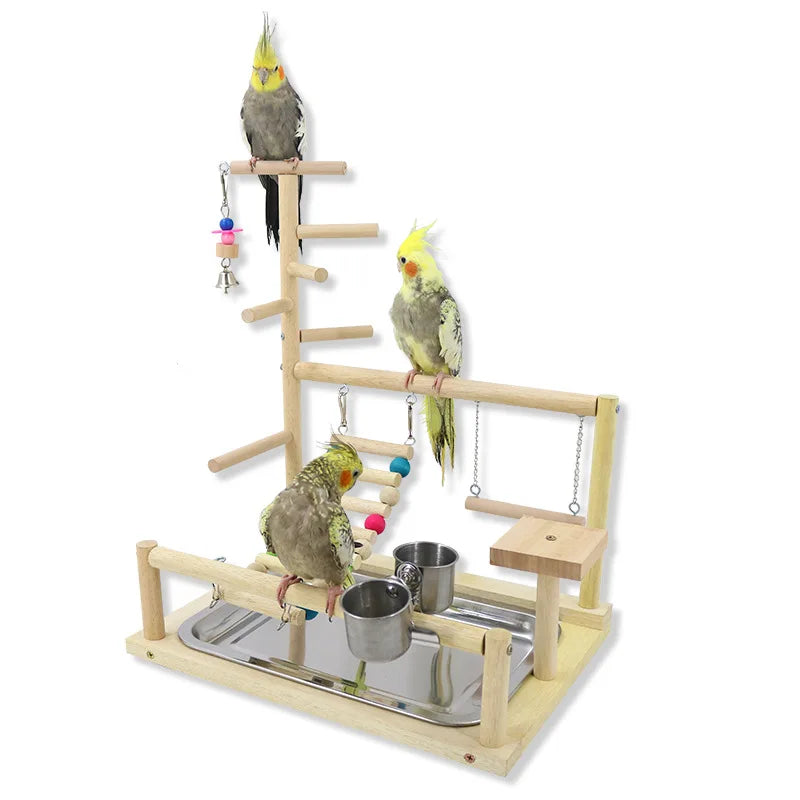 Parrot Playstand Gym Feeder Exercise Activity Center