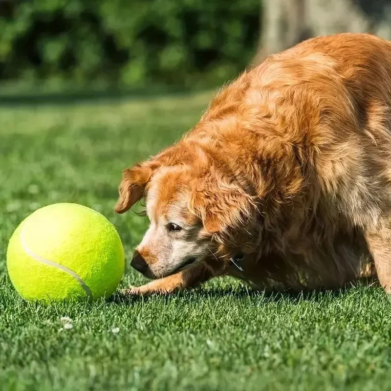 7/9.5Inch Giant Tennis Ball Inflatable Toy for Dog
