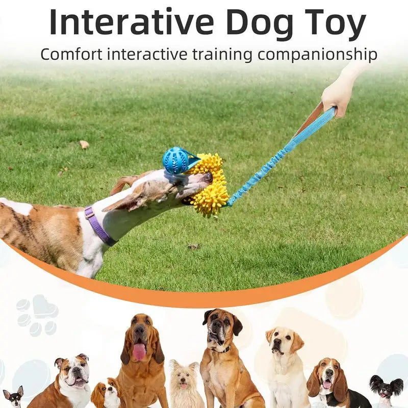 Fun Squeaky Dog Chew Toy Puppy Rope