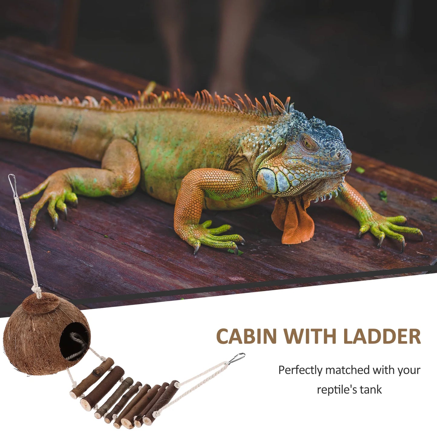 Hermit Cave Habitat with Ladder Hanging Ring Coconut Shell