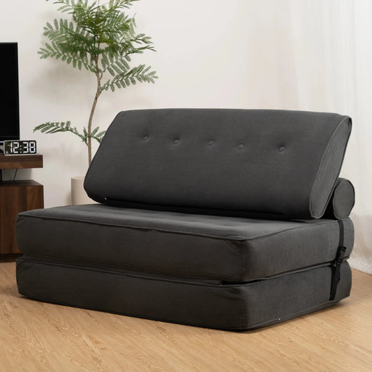 3 in 1 Convertible Sofa Bed with 2 Pillows