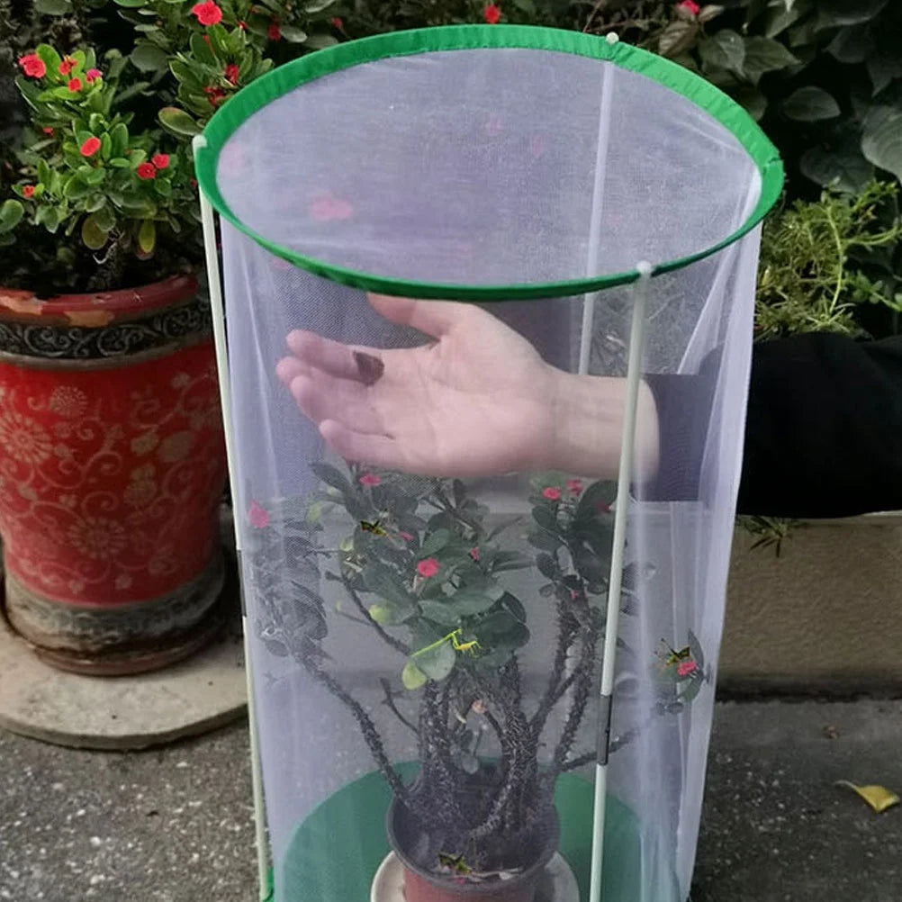 Observation Butterflies Habitat