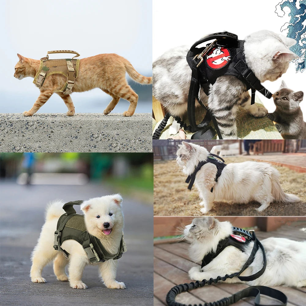 Tactical Harness Leash For Small Dogs