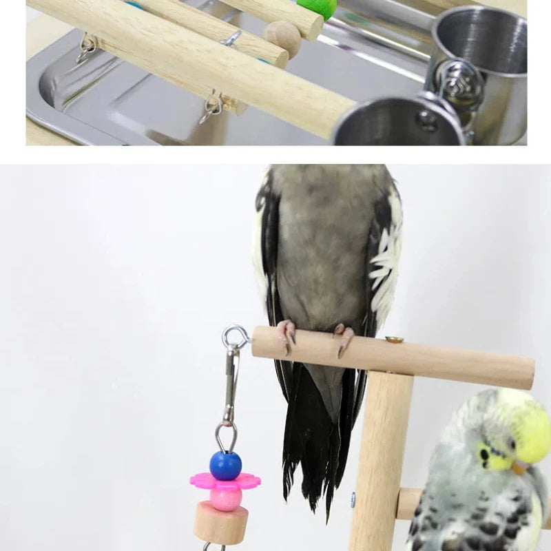 Parrot Playstand Gym Feeder Exercise Activity Center