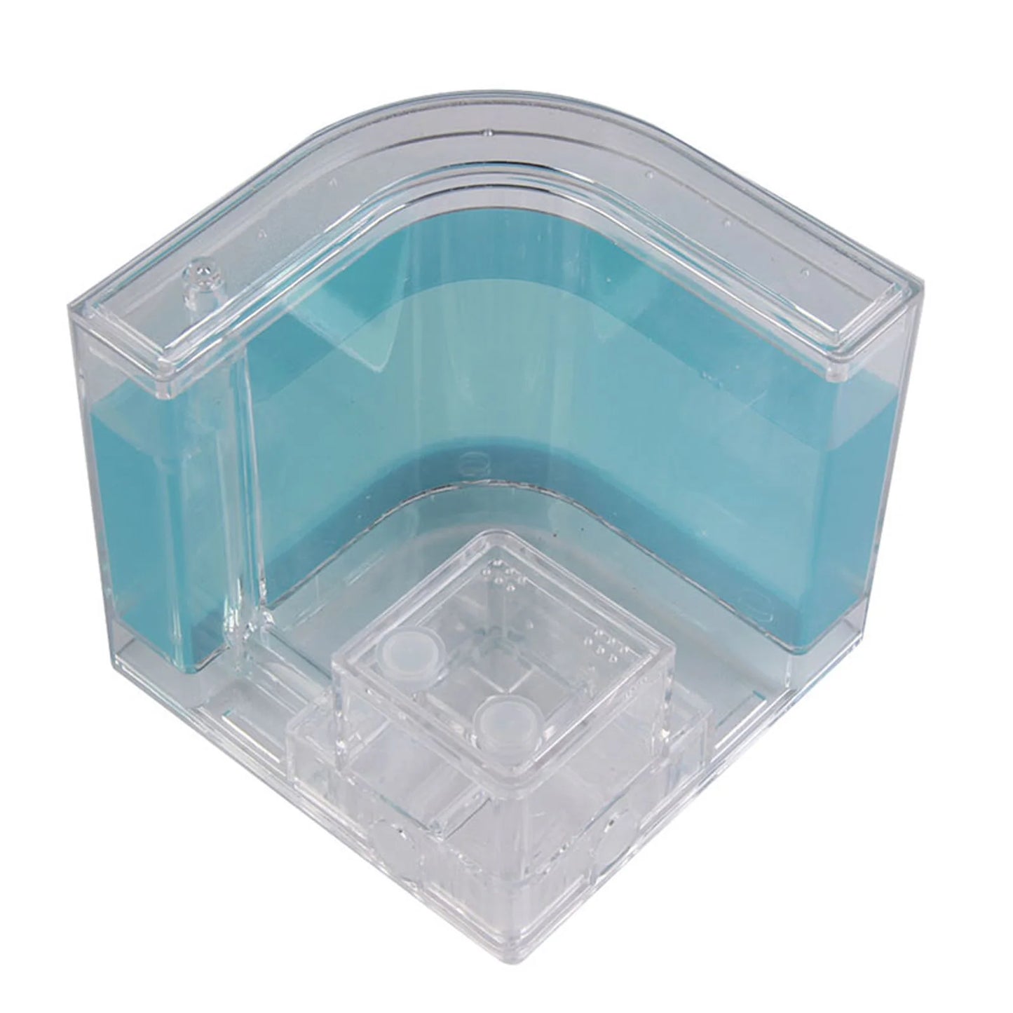 3D Ant Farm Maze Educational & Learning Kit