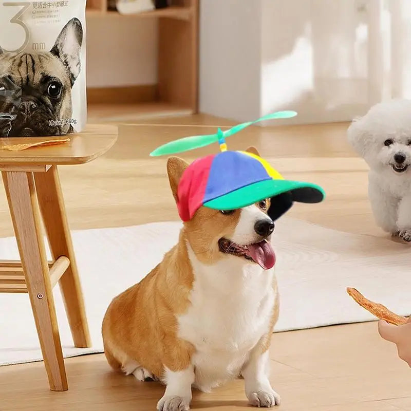 Dog Propeller Hat with Ear Holes