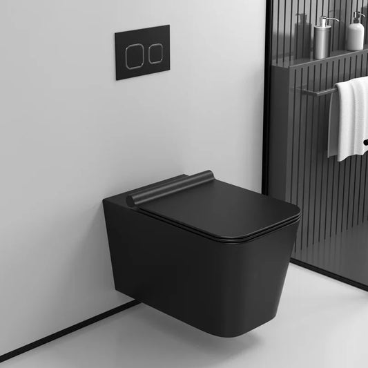 Wall mounted toilet concealed water tank