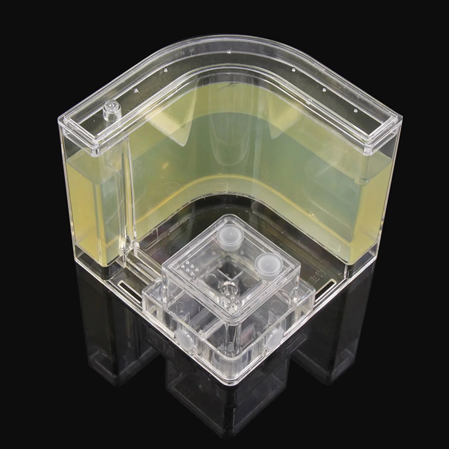 3D Ant Farm Maze Educational & Learning Kit