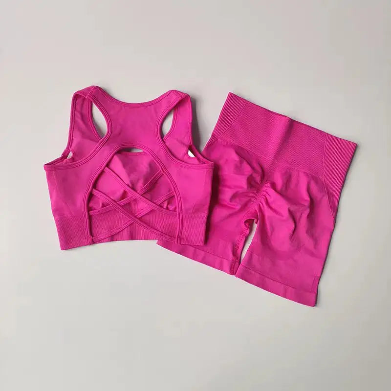 2 PCS Seamless Yoga Set Sexy