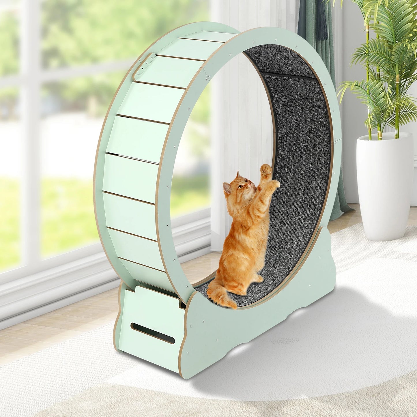 Cat Exercise Wheel for Indoor Cats for 16.53-22.05 Lbs