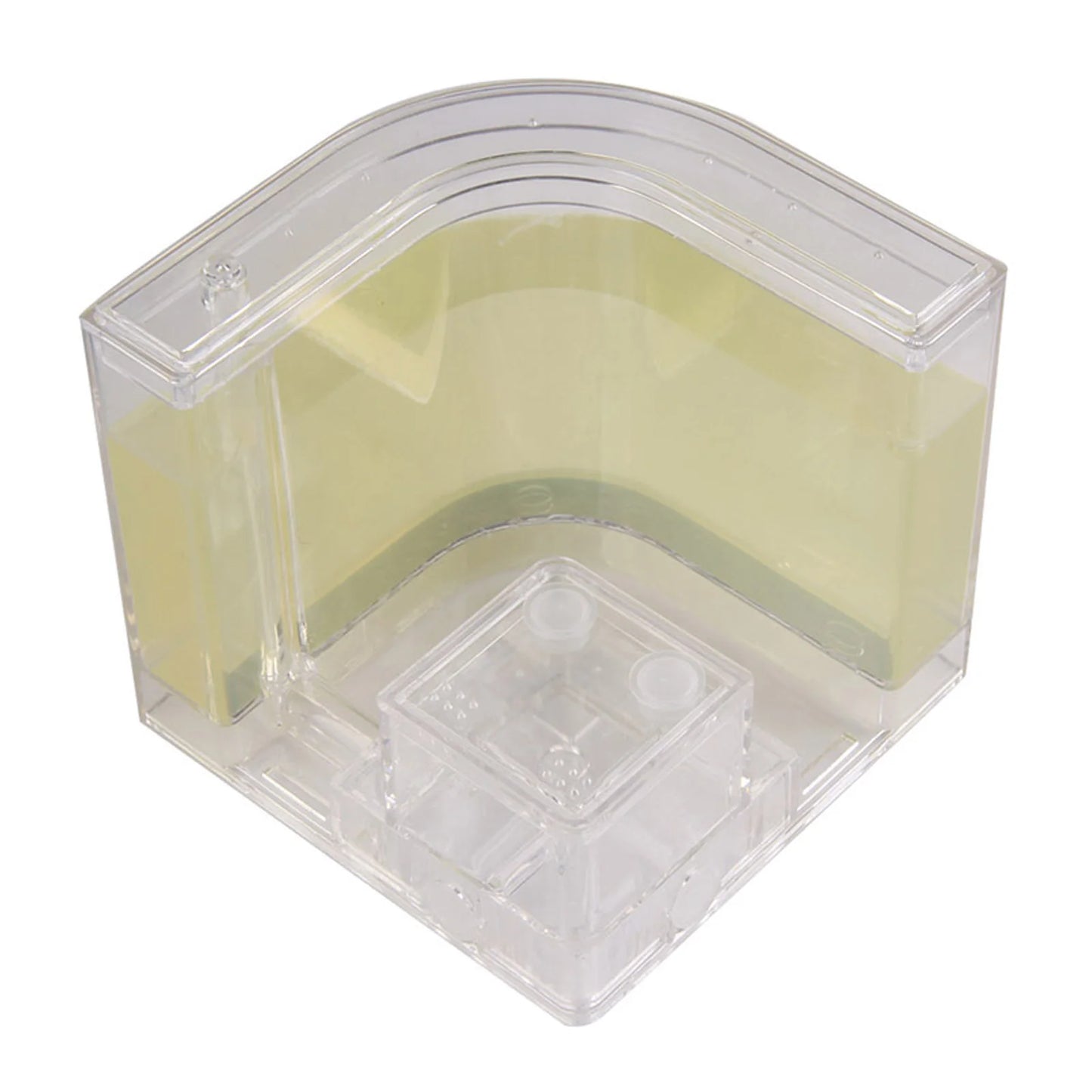 3D Ant Farm Maze Educational & Learning Kit