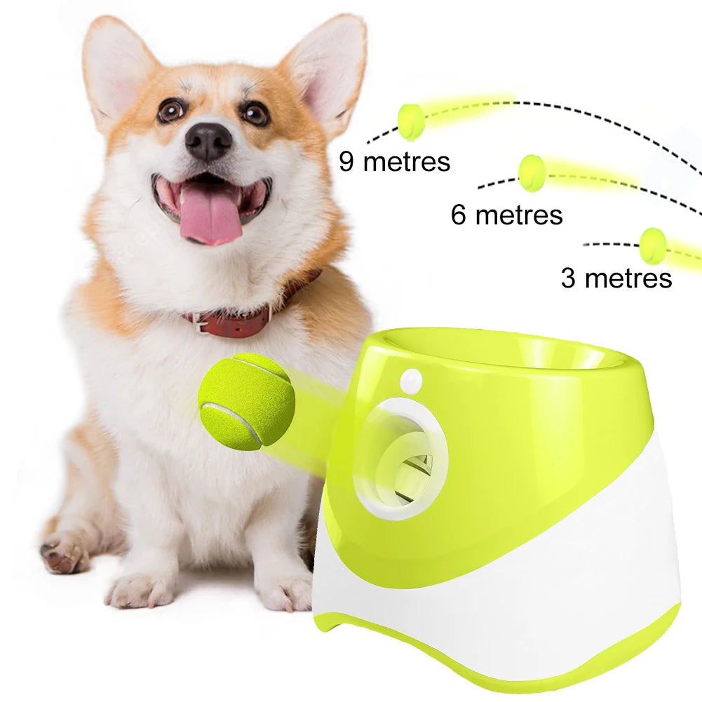 Dog Automatic Tennis Ball Launcher