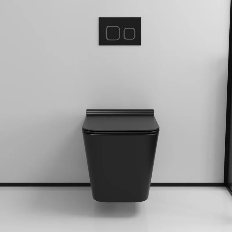 Wall mounted toilet concealed water tank