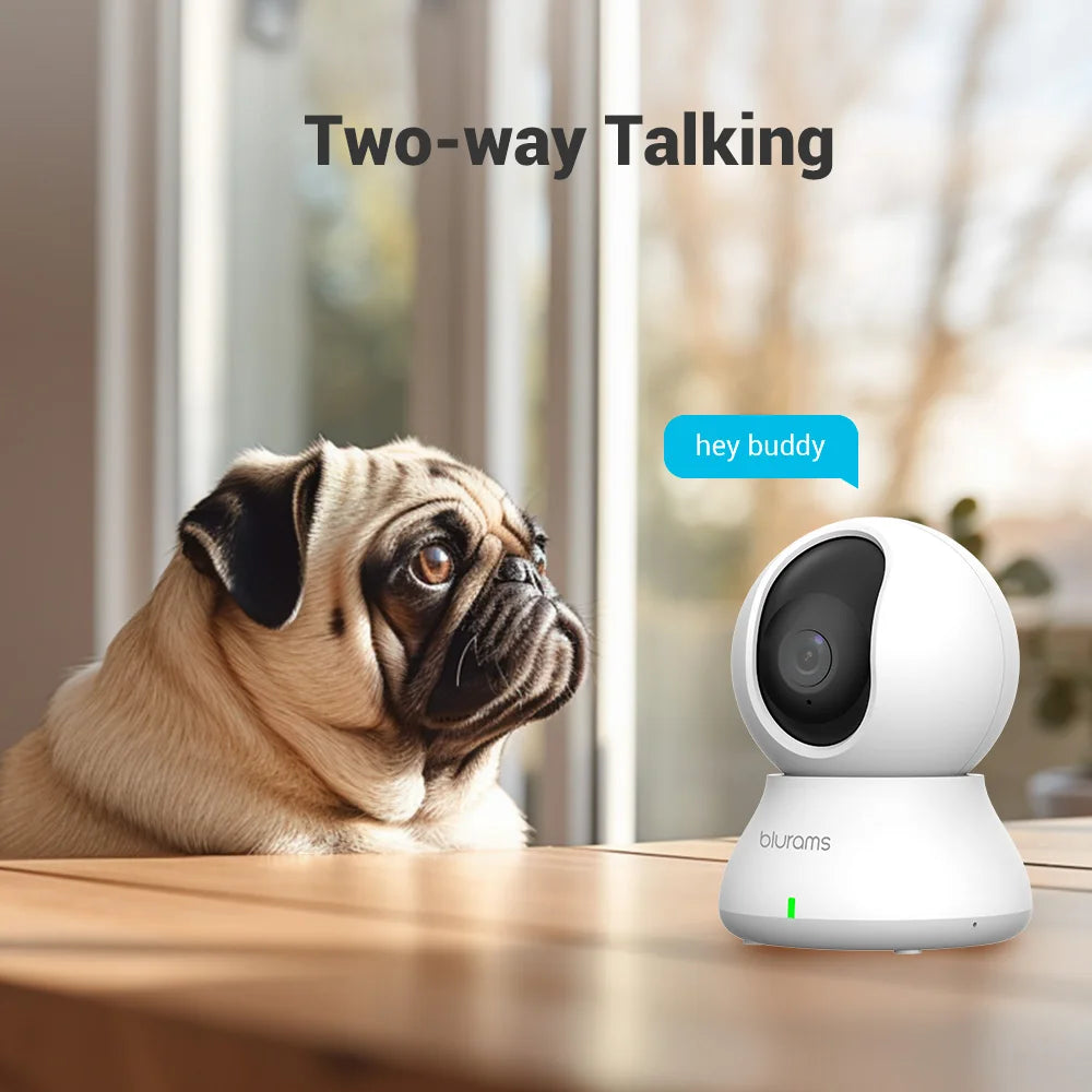 2.4GHz WiFi Indoor CCTV Camera with Phone App, 2-Way Talk, Night Vision