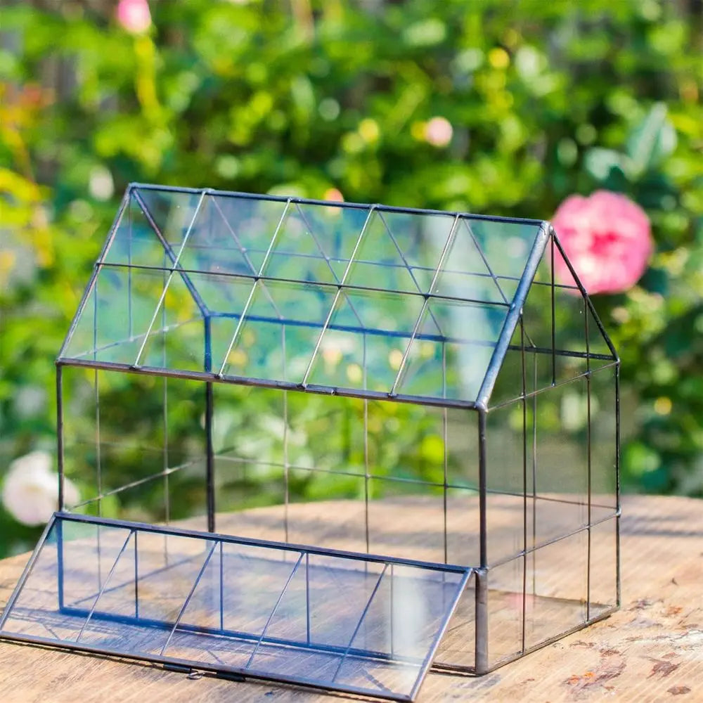 Geometric Glass Terrarium with Front Opening Door