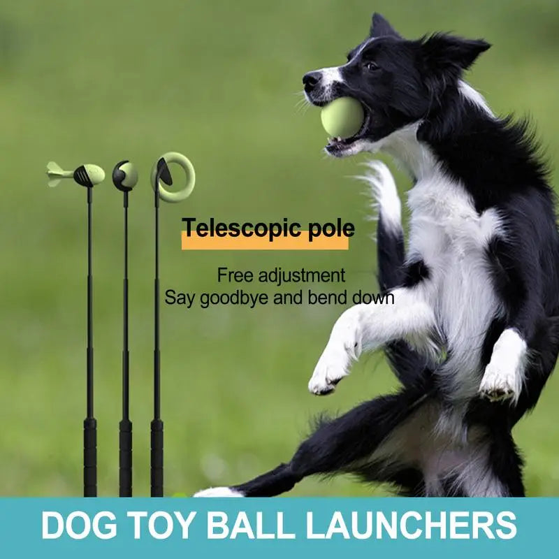 Dog Toy Throwing Stick
