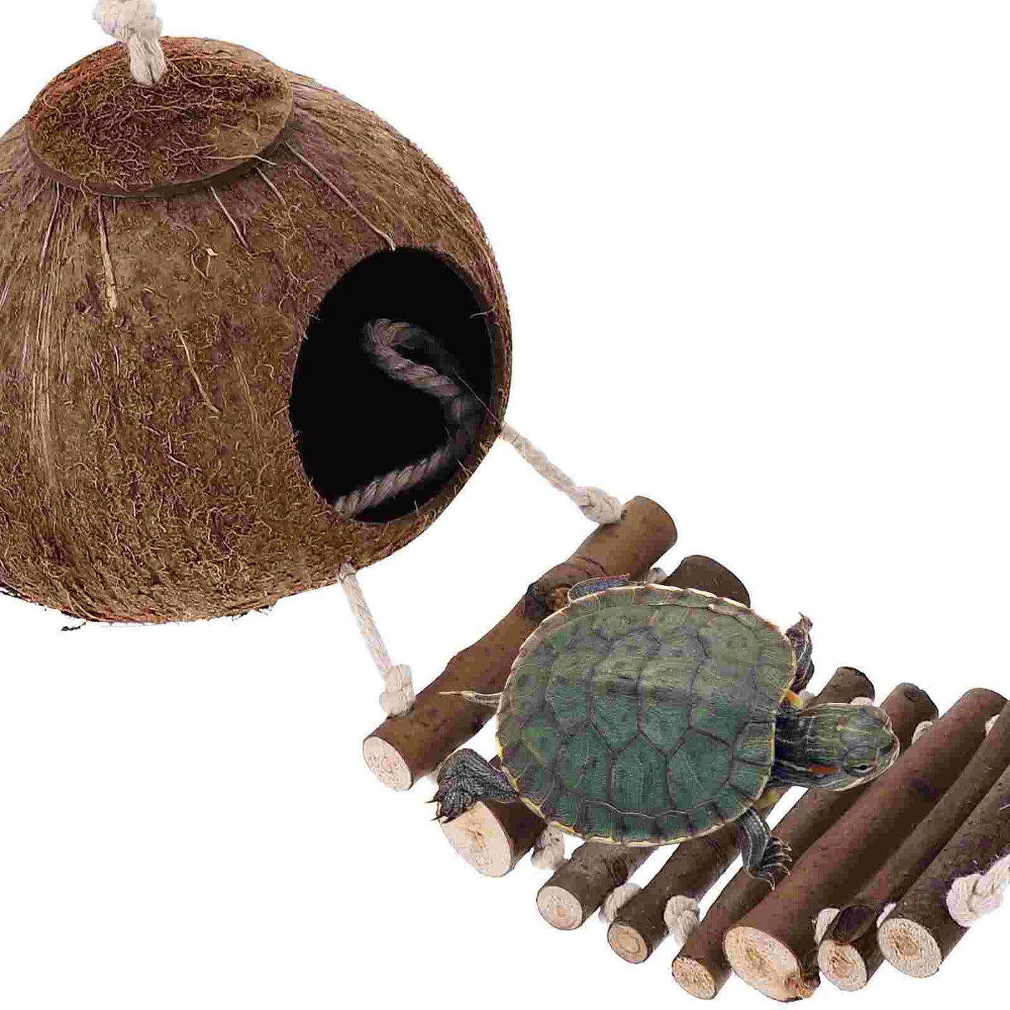 Hermit Cave Habitat with Ladder Hanging Ring Coconut Shell