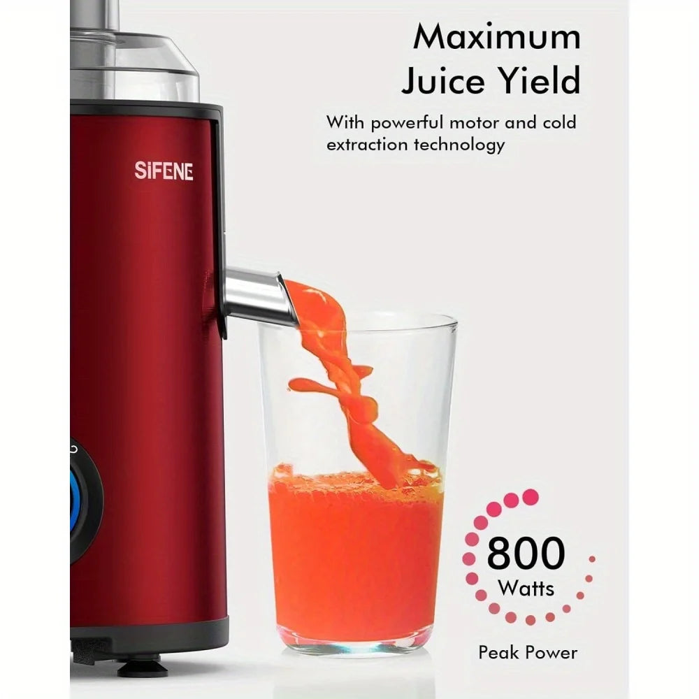 High-Power Juicer Machine Quick Juice Extractor