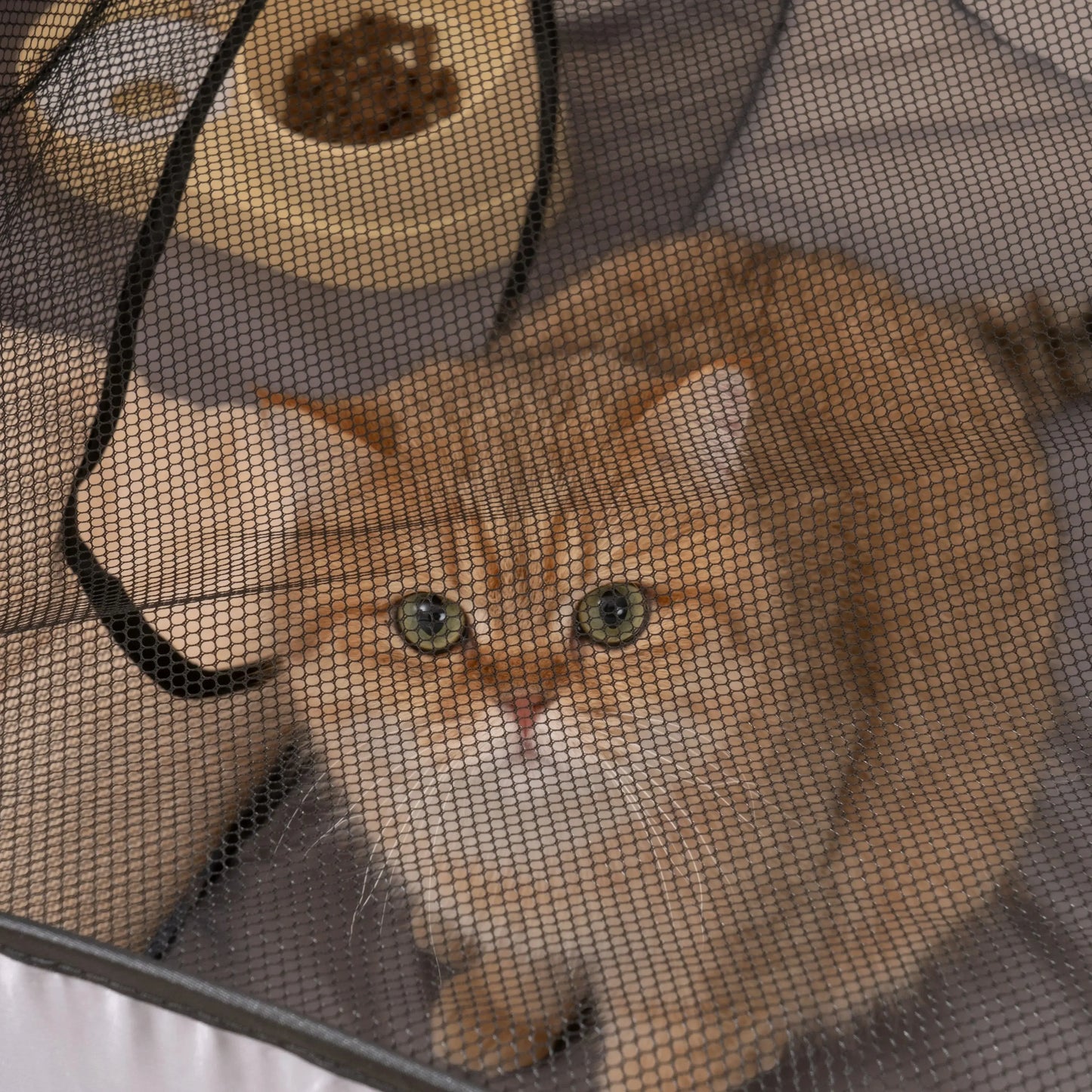 Play Tunnel Foldable Pets Nest