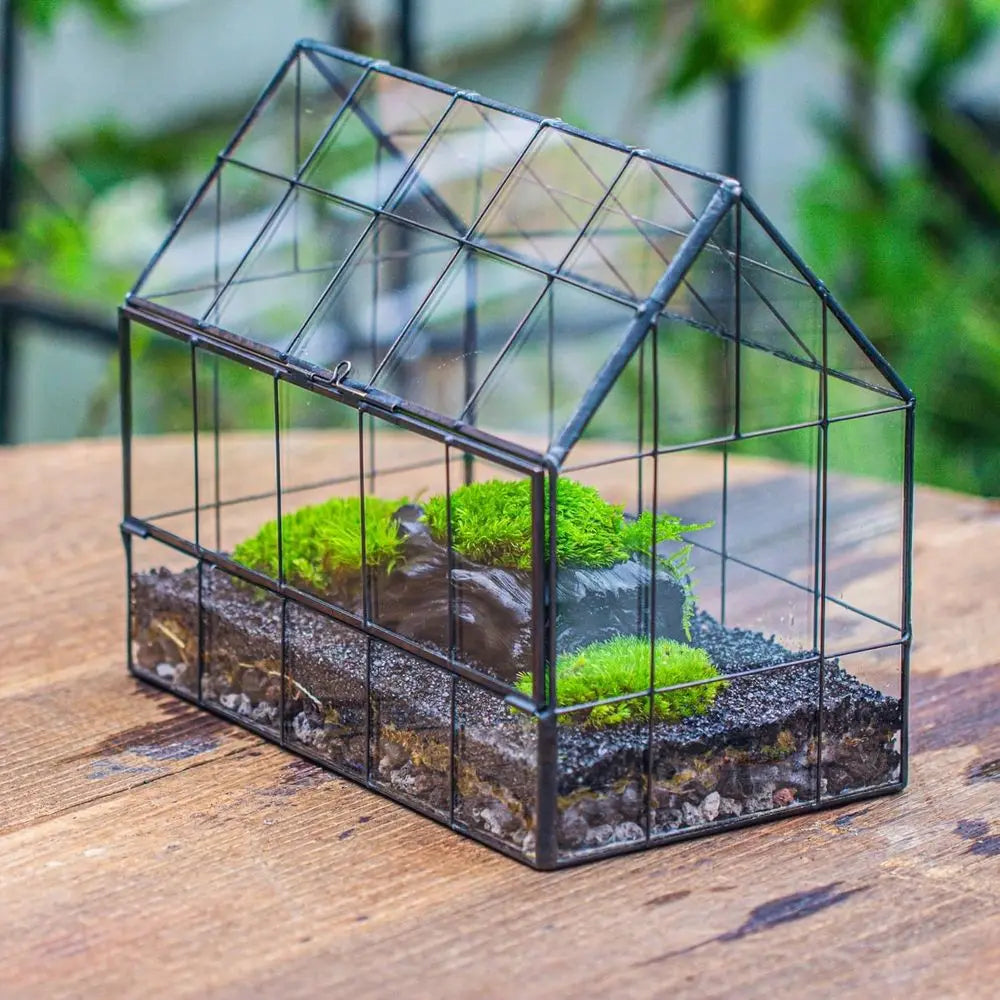 Geometric Glass Terrarium with Front Opening Door