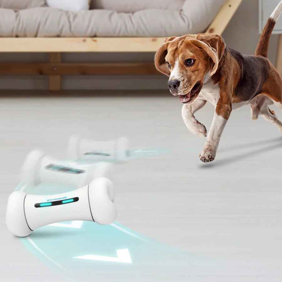 App remote control smart dog toy