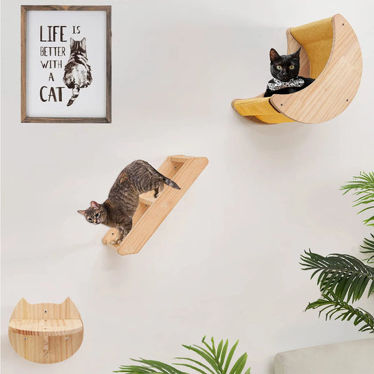 Cat Wall Climbing Shelves Moon Shaped