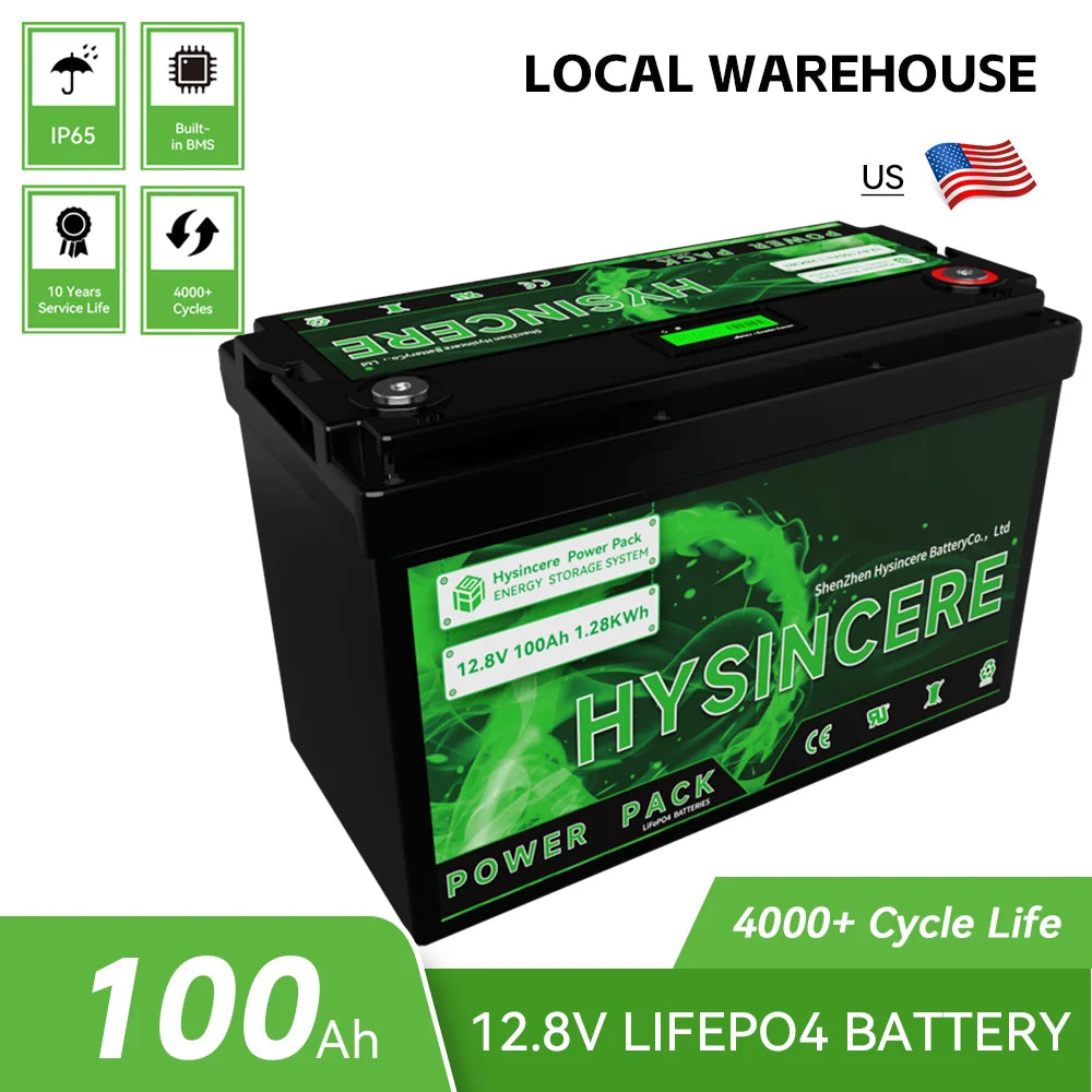 LiFePo4 Battery 12V 100AH Pack Lithium Iron Phosphate Batteries