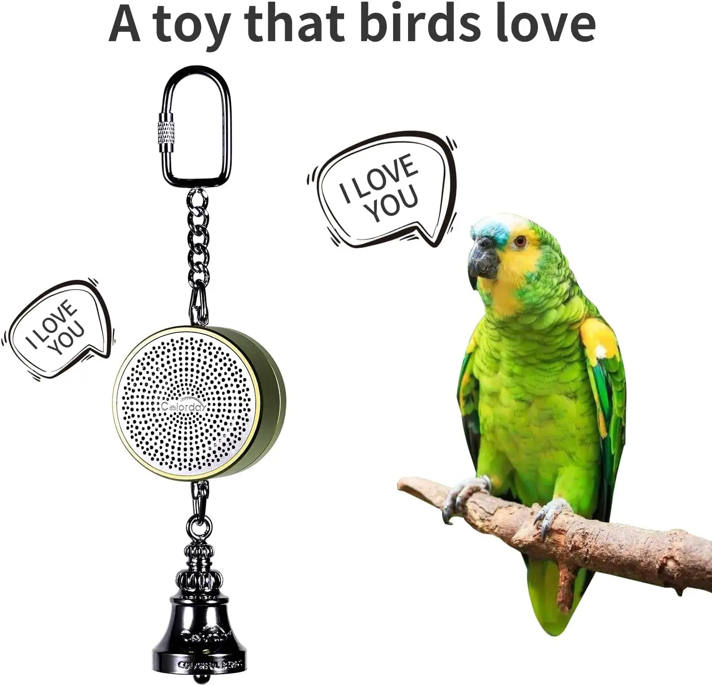 Parrot Toys to Teach Train Bird Talking