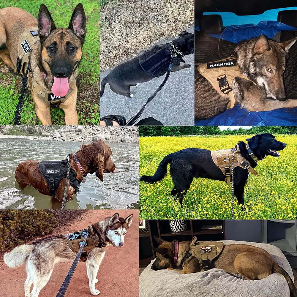 Military Large Dog Harness Training Vest