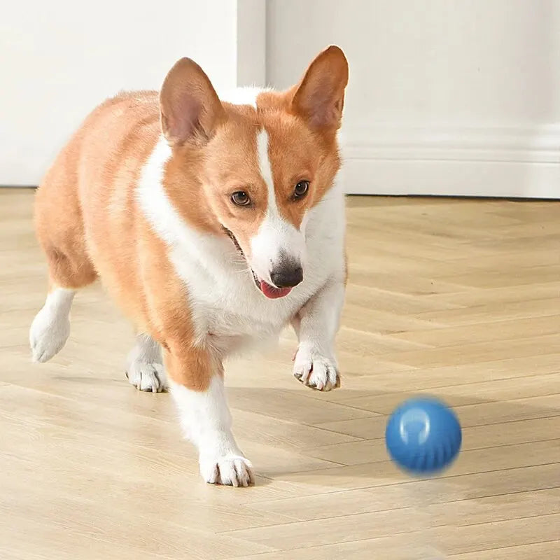 Dog Toy Intelligent Gravity Jump Ball Rechargeable Bite-Resistant