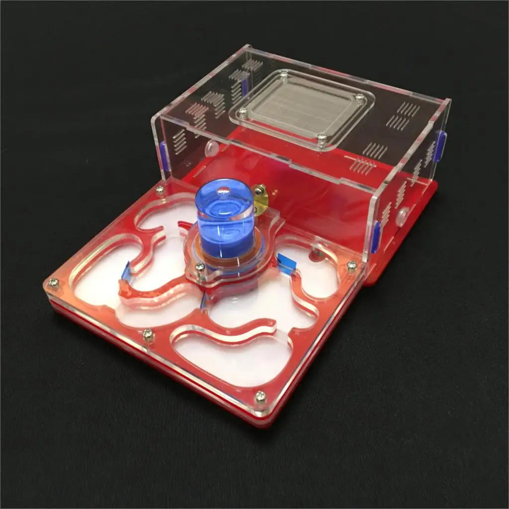 L Size Plane Design 9color Ant Farm Acrylic with Feeding Area