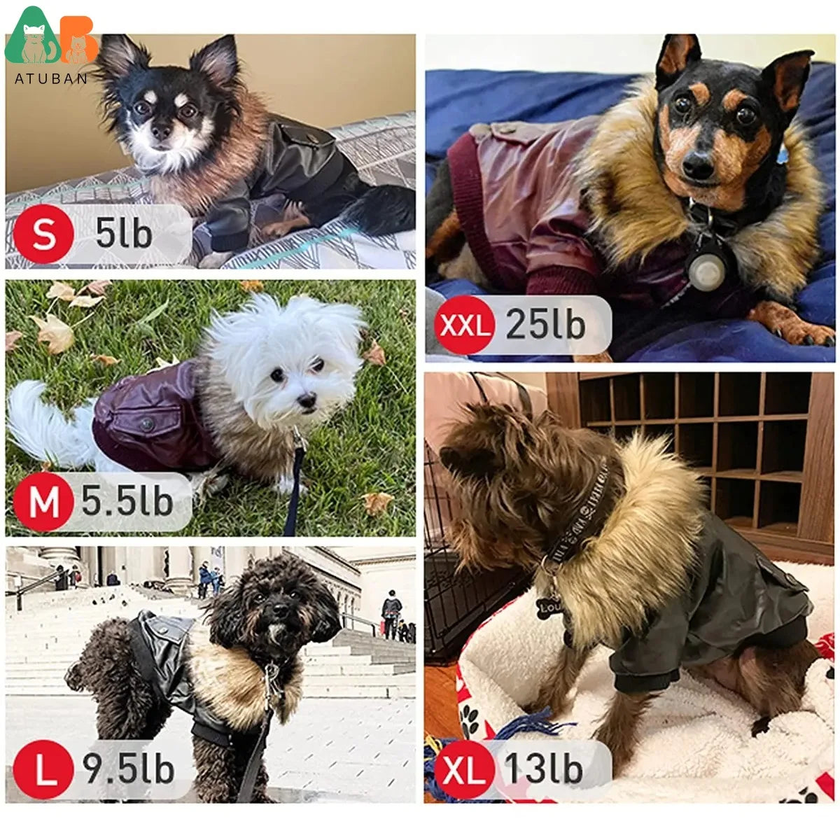Leather Waterproof Jacket for Small to Medium Dogs