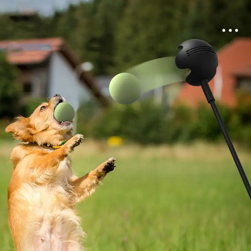 Dog Toy Throwing Stick