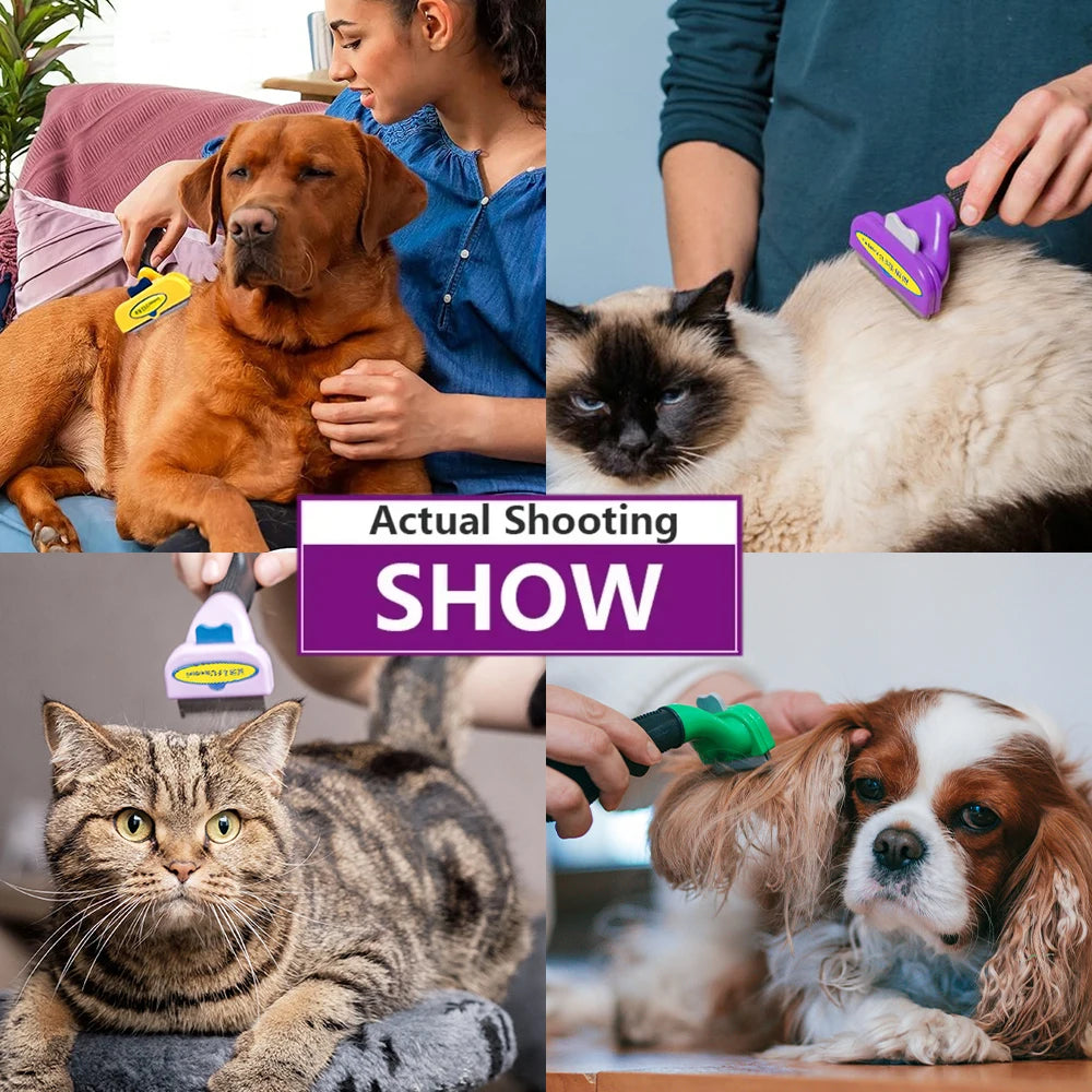 Cat & Dog Hair Removal Brush